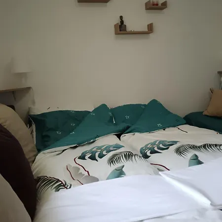 Sobe Paunovic דירה סוקו בניה