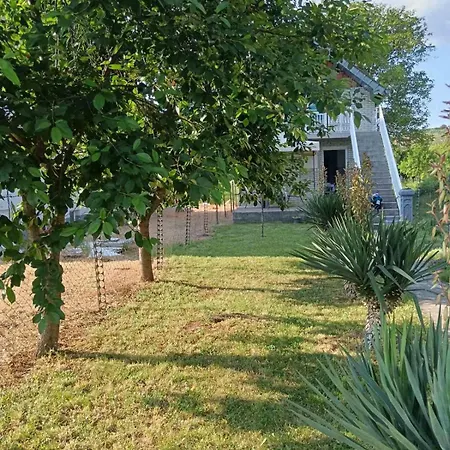 Sobe Paunovic * סוקו בניה