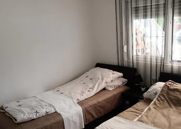 アパート Sobe Paunovic ソコバニャ