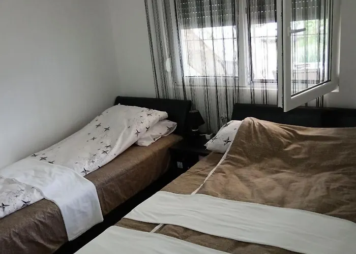 Sobe Paunovic ソコバニャ