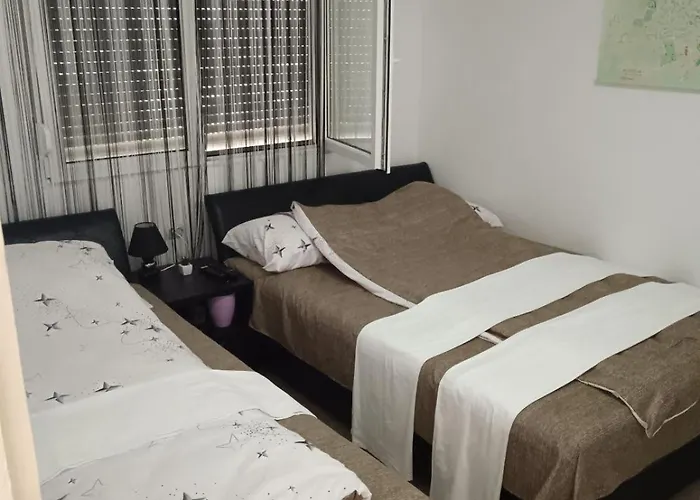 アパート Sobe Paunovic ソコバニャ