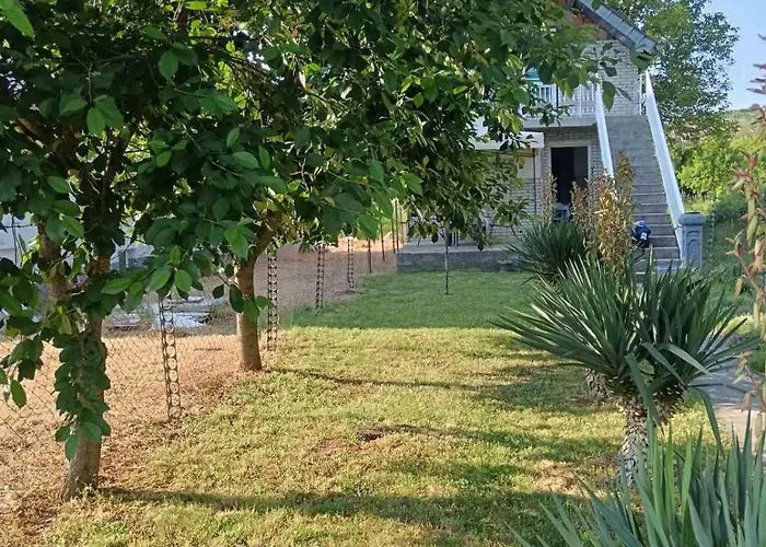 Sobe Paunovic * ソコバニャ