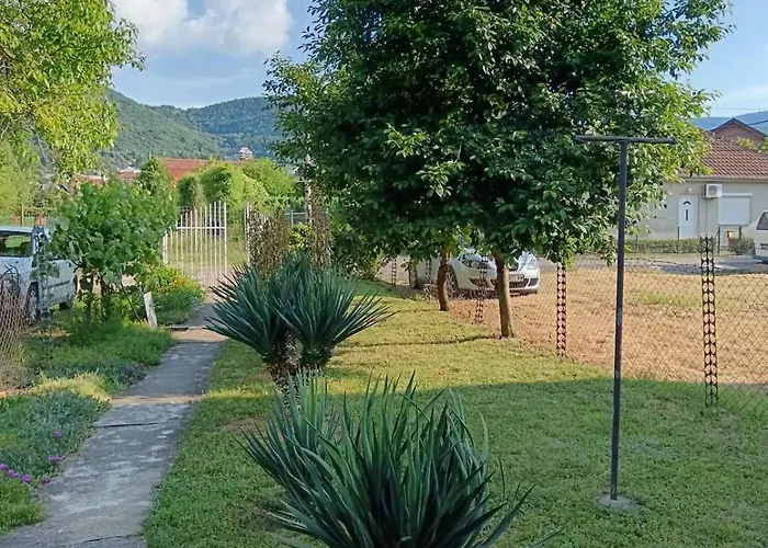 Sobe Paunovic * ソコバニャ